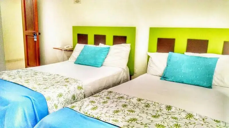 Hotel Caribe Real - Général