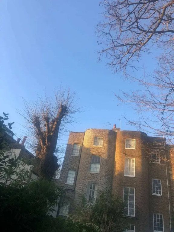 Cozy 1 Bedroom Flat in Camberwell