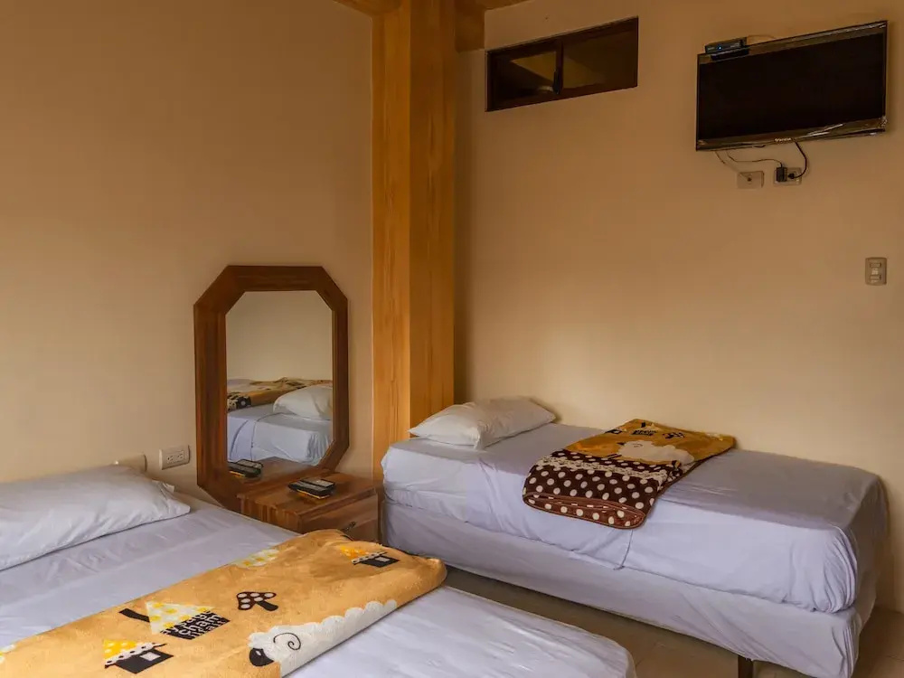 Standard Double room (twin beds)