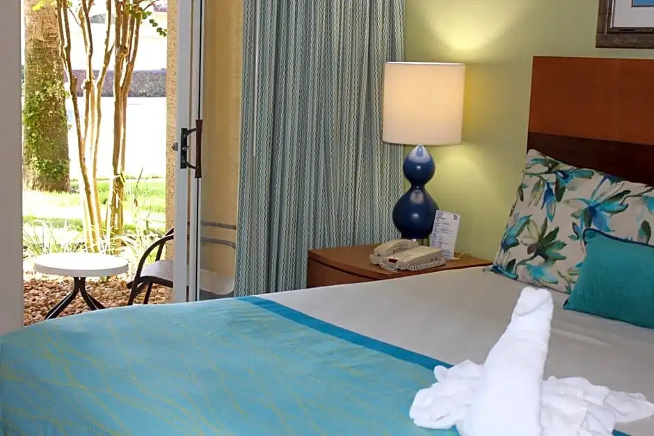 1 Bedroom Suite