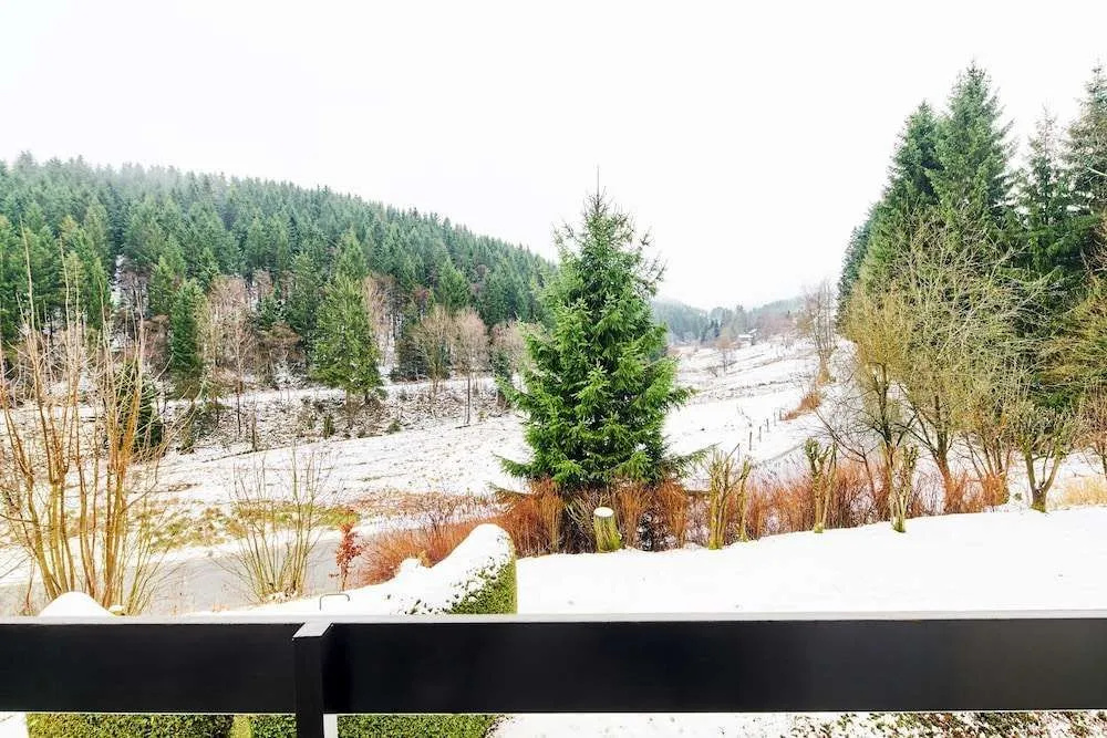 Apartment Winterberg - Stylish
