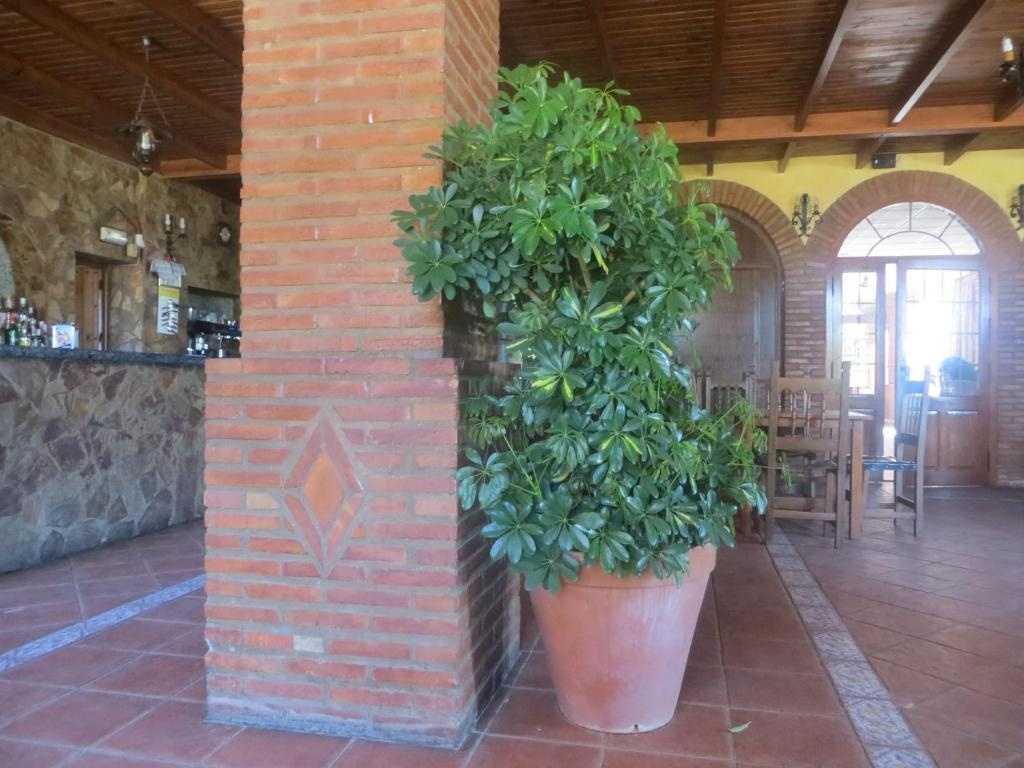 Hostal Rest. Campoabierto