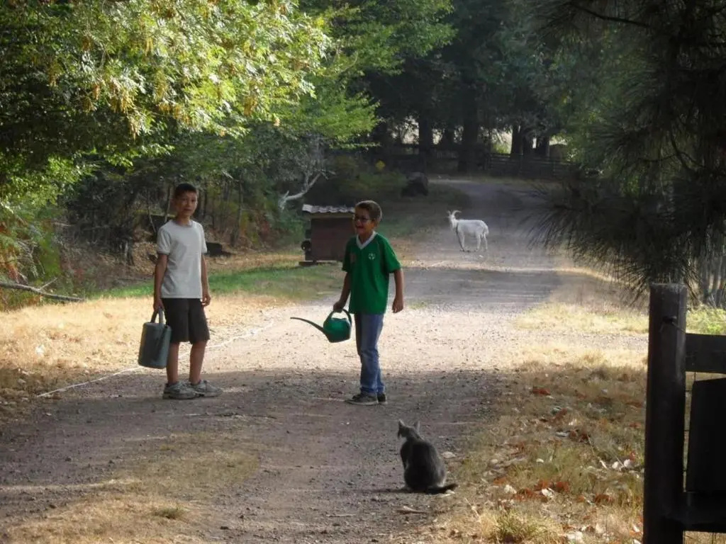Voir la photo 4 — Gîte Le Champ-Saint-Père, 4 pièces, 10 personnes - FR-1-426-238