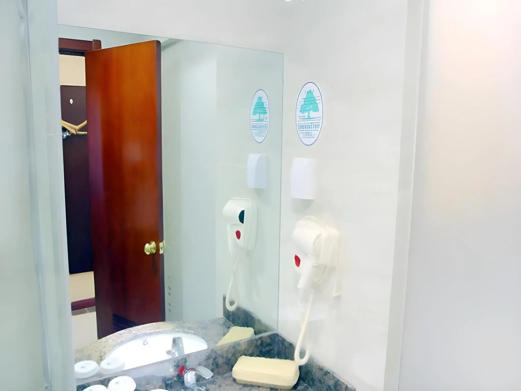 GreenTree Inn Jiangyin Zhouzhuang Shiji Avenue Business Hotel - Général