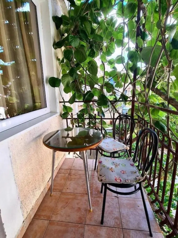 Olive Garden Apartments Petrovic