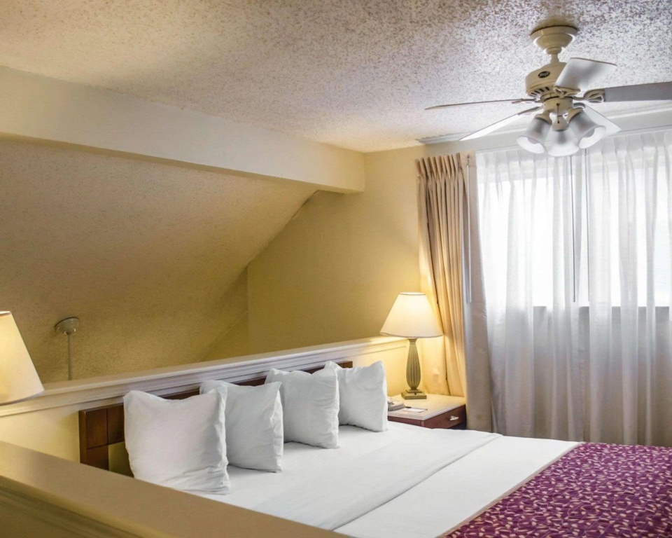 Hotel photo 39