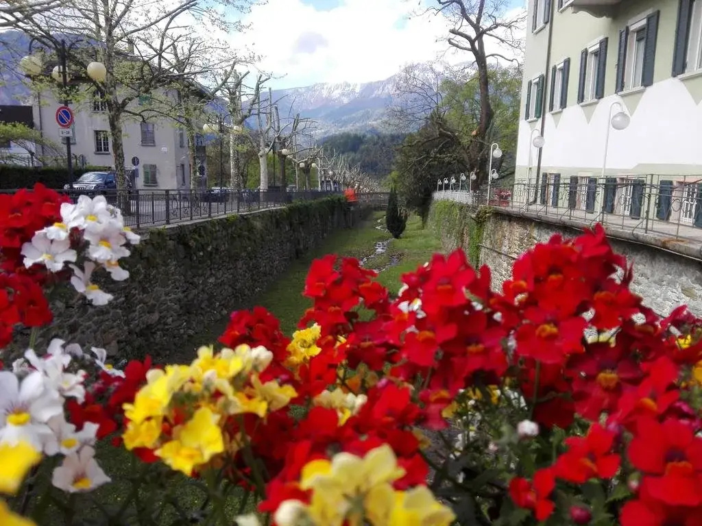 Albergo Claudia - фото 4