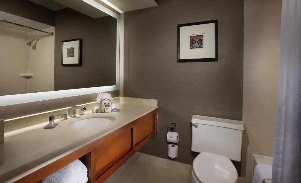 DoubleTree by Hilton Chicago - Oak Brook - Chambres