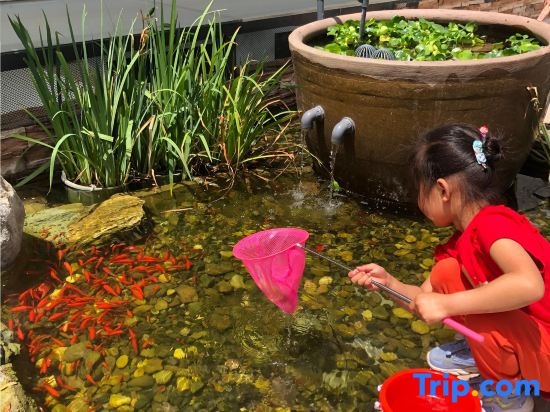 Beijing Siluoli Homestay