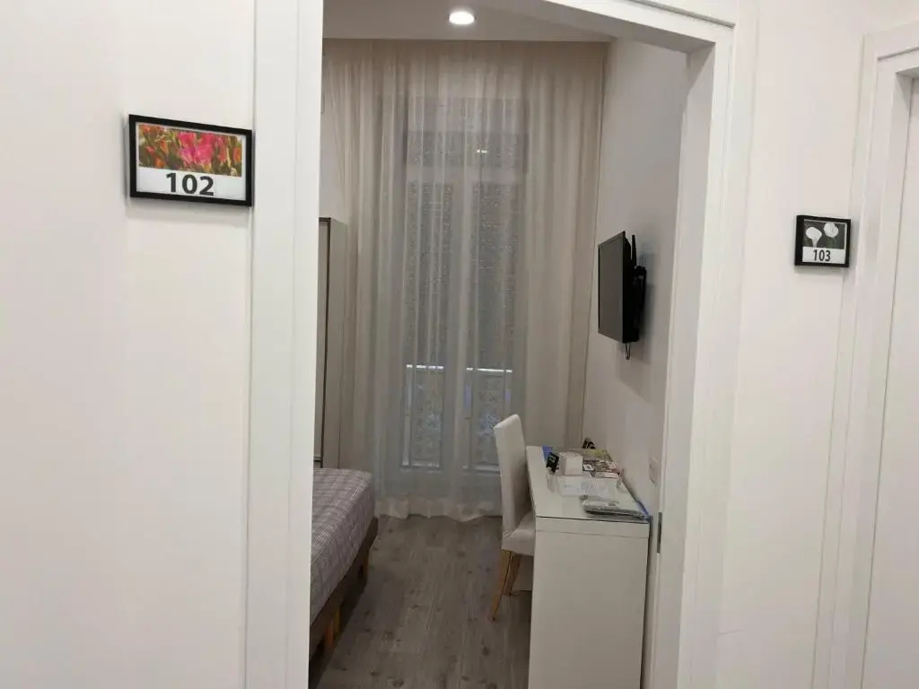Standard Double room with balcony (full double bed)