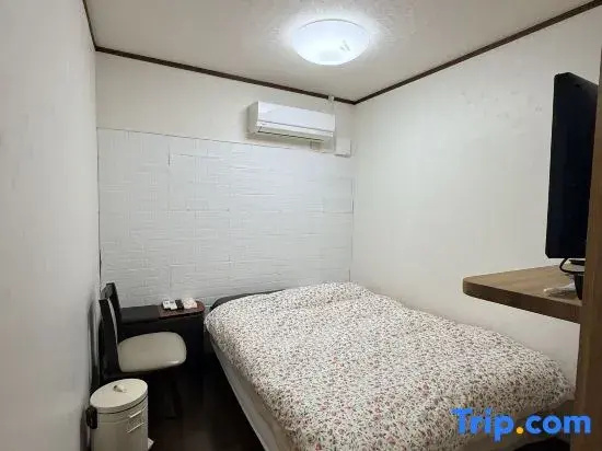 Standard Double room with city view (full double bed)