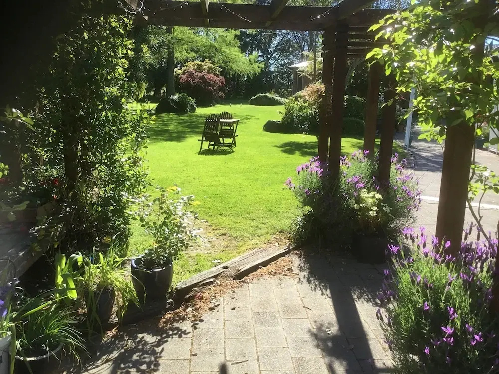 Antares Homestay - Général
