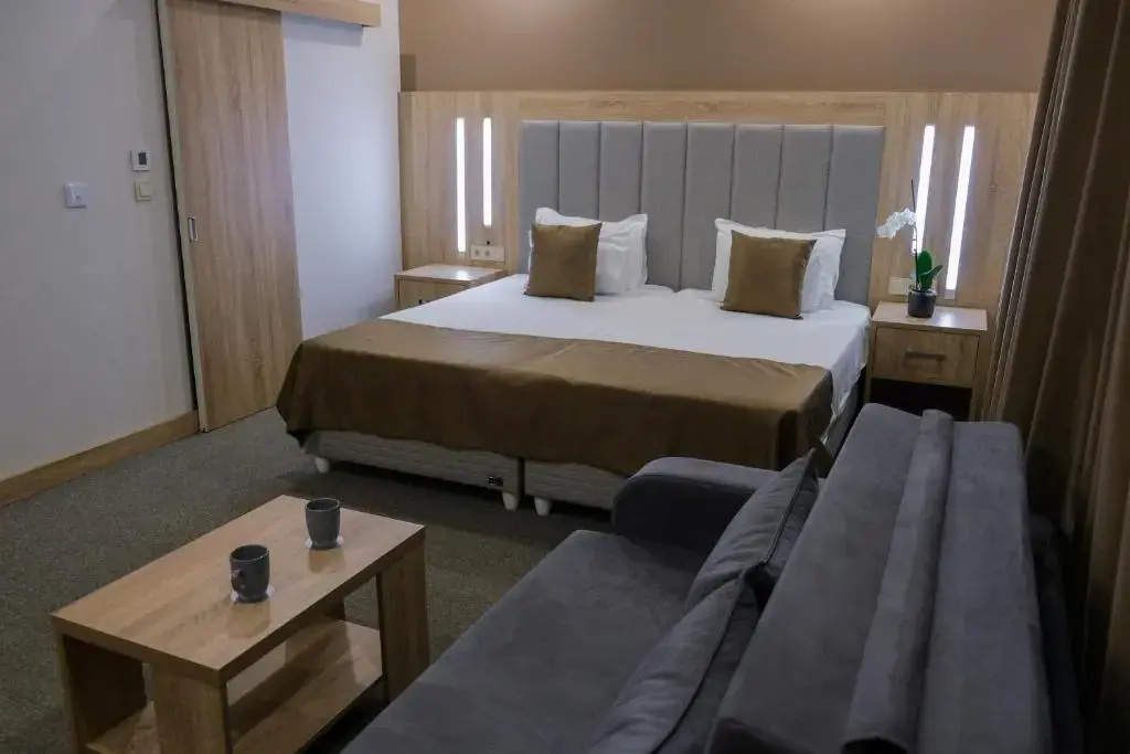 Standard Double room (twin beds)