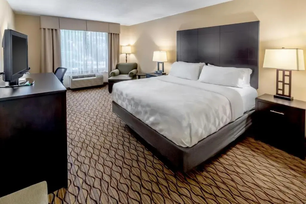 Holiday Inn Hotel & Suites-Milwaukee Airport by IHG - Chambres