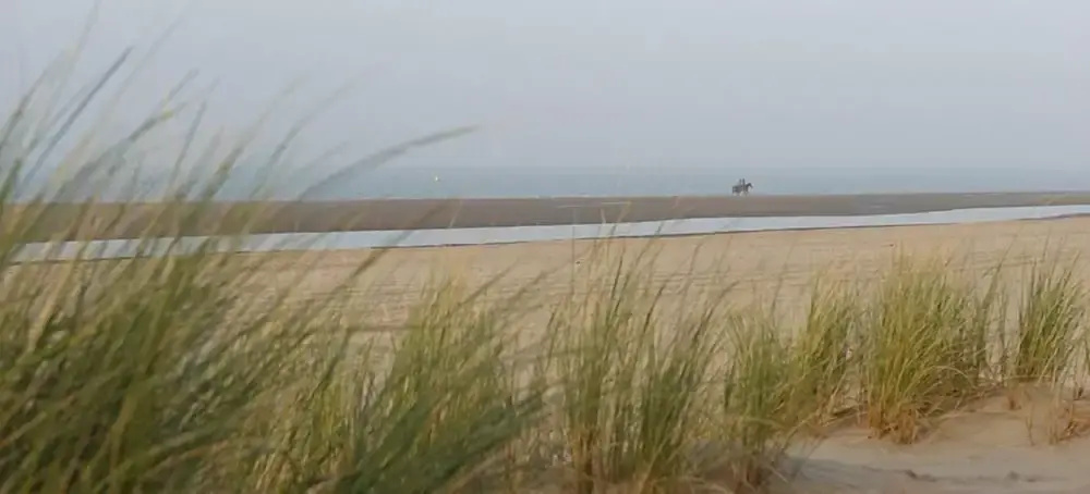 Badhotel Renesse - Général