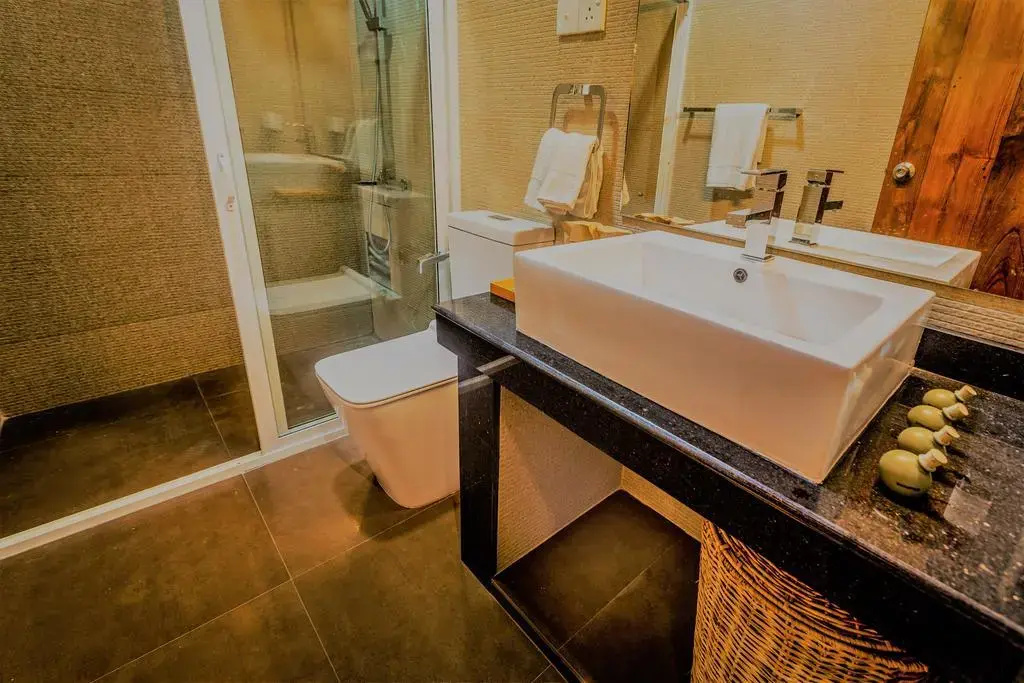 Deluxe Double room with lake view (full double bed)