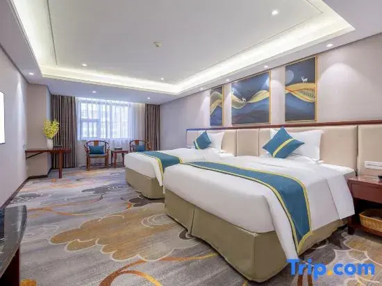 Standard Double room with city view (twin beds)