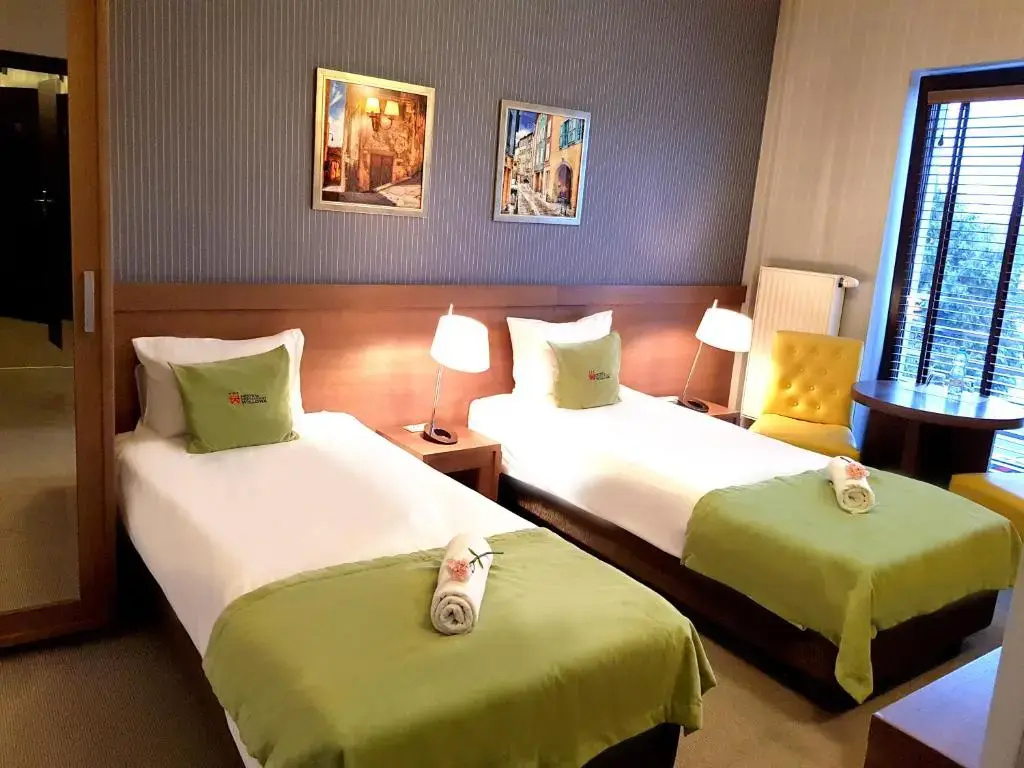 Standard Double room (full double bed)