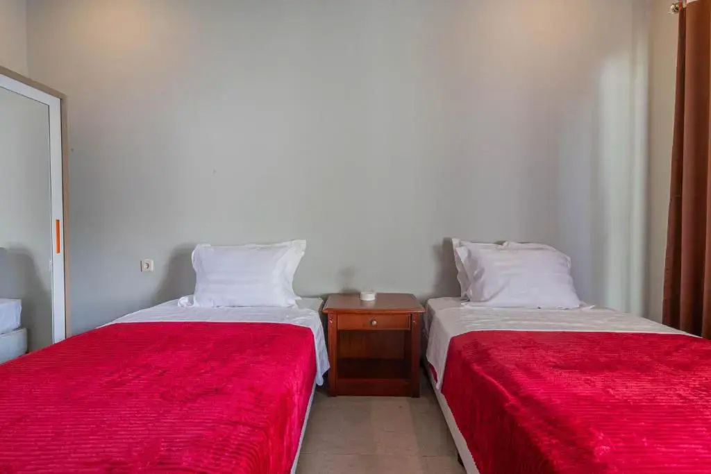 Deluxe Double room (twin beds)