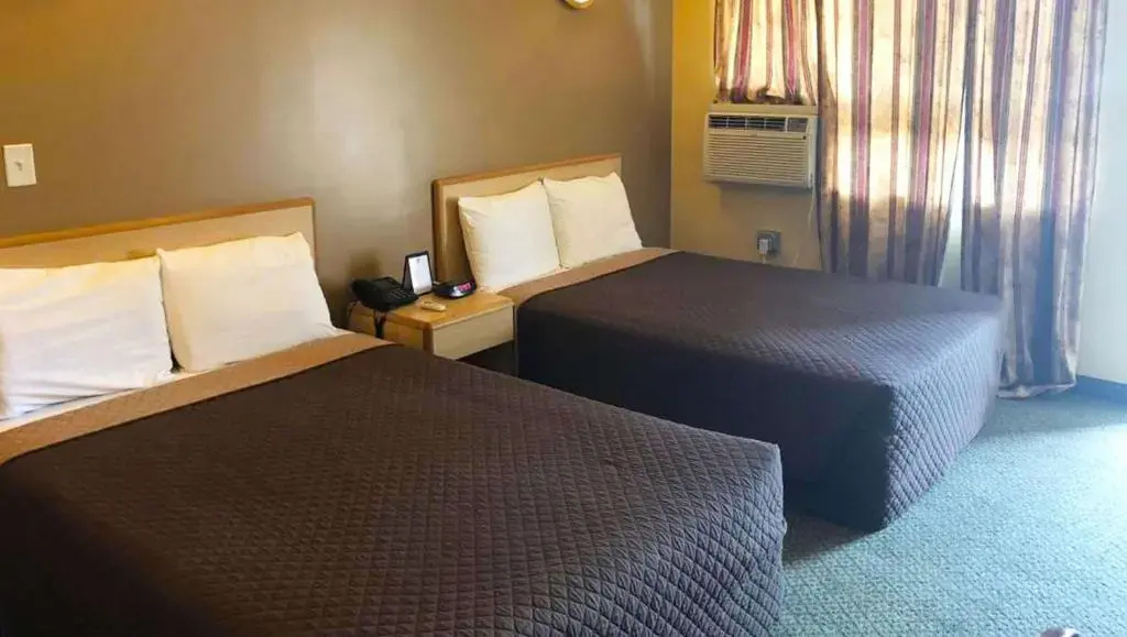 Standard Suite
