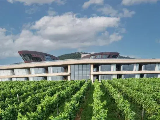 Runaway Cow Winery Retreat
