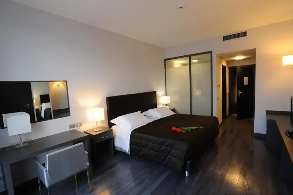 Standard Double room (full double bed)