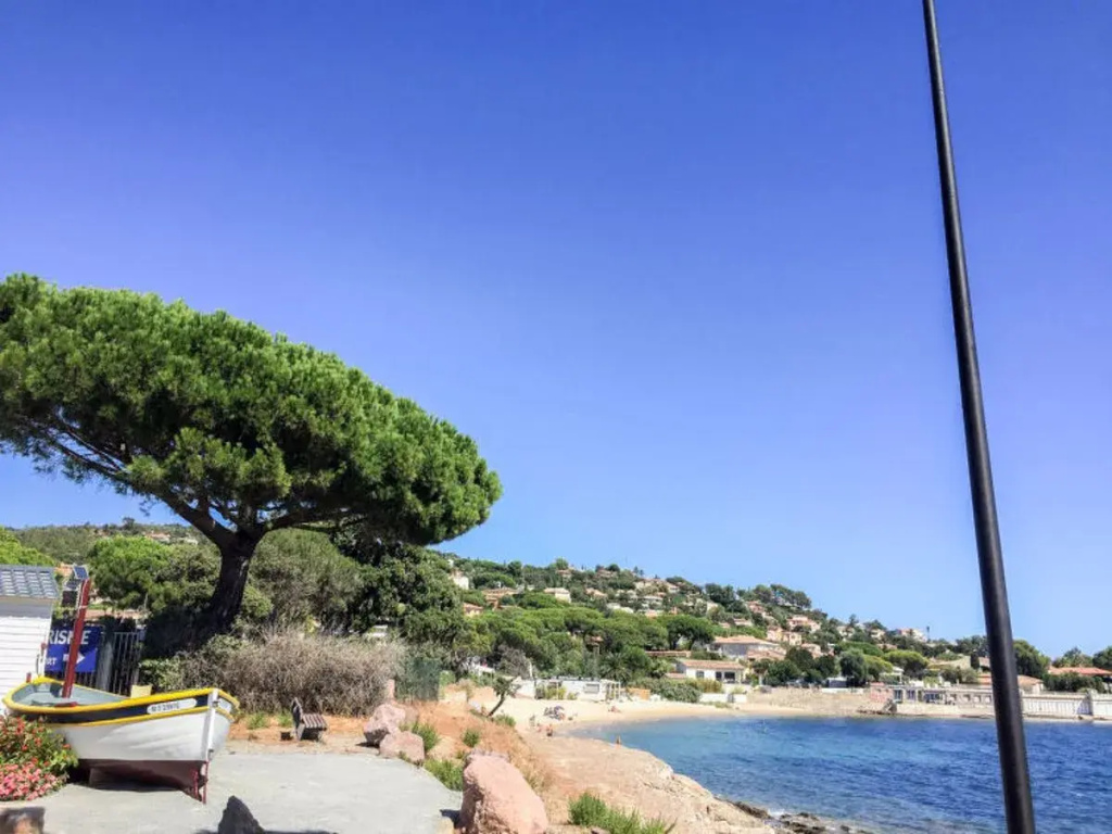 Beach & Waterfront