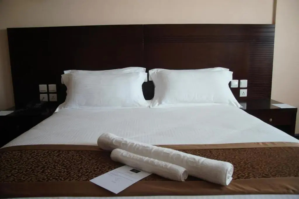 Central Hotel Tana - Chambres