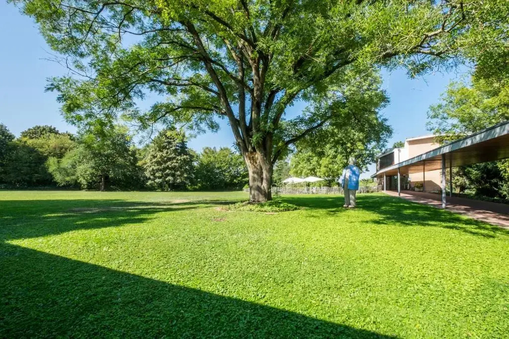 Hotel Coop Tagungszentrum & Hotelpark im Grünen - Général