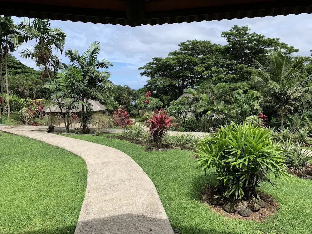 Taveuni Dive Resort - Chambres
