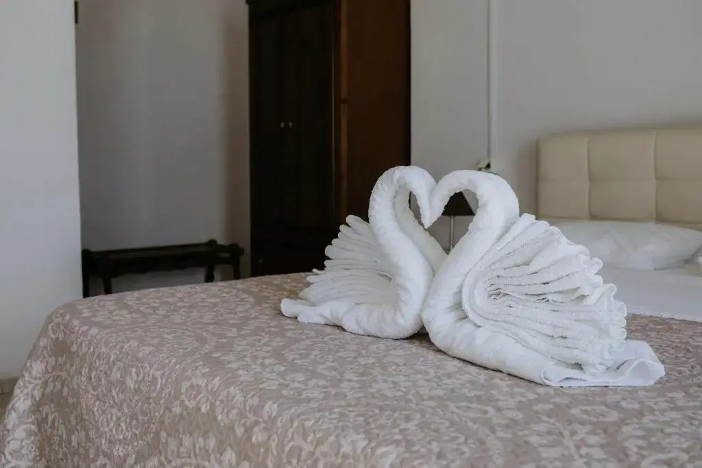 Standard Double room with balcony (full double bed)