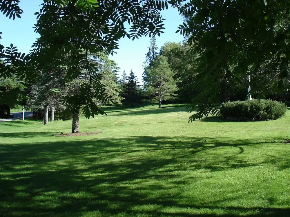 Camp DeForest - Général