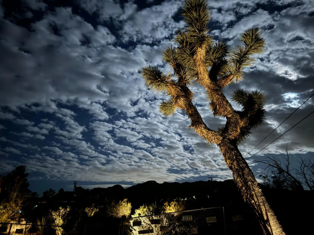Joshua Tree Traveler's Retreat - Sauna Room, Hot Tub, Outdoor Fireplace, BBQ