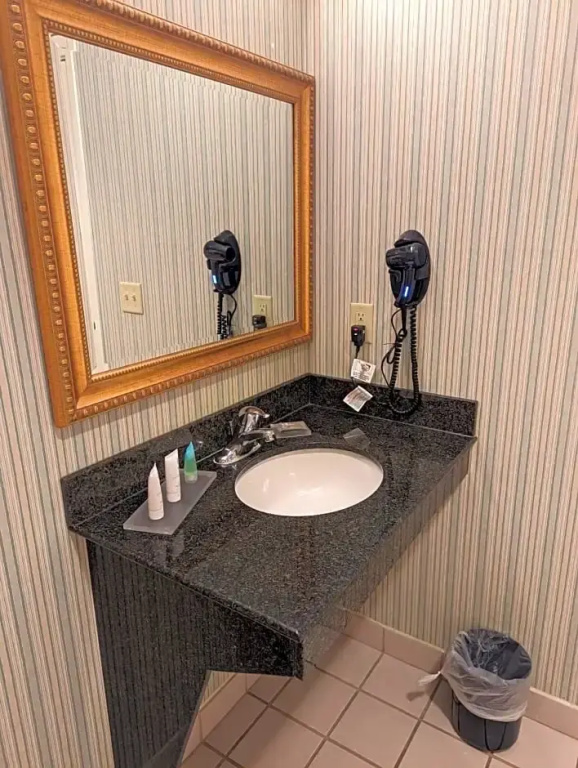 Wingate Suites By Wyndham Mansfield - Chambres