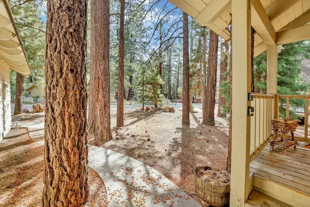 ALL Season Alpine Retreat #1184
