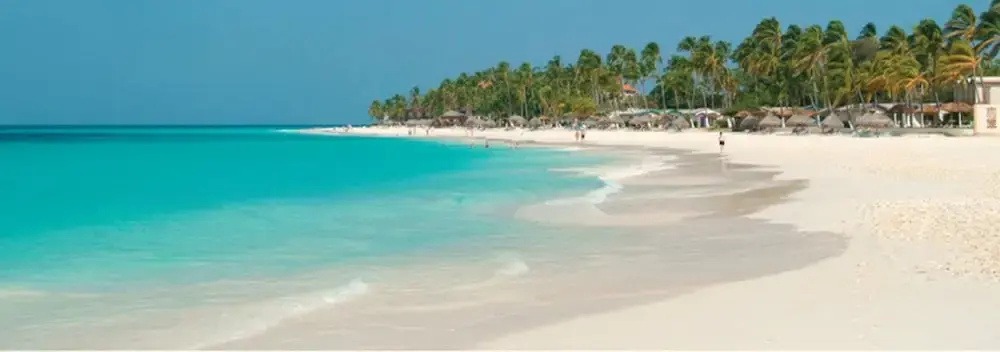 Tropical Digs - Général