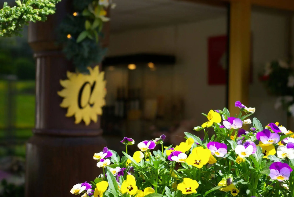 Hotel photo 21