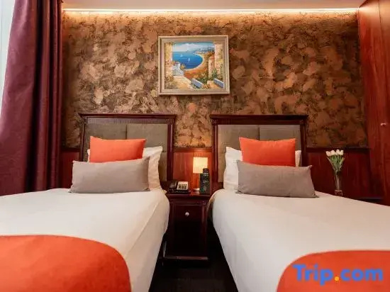 Premium Double room with city view (twin beds)