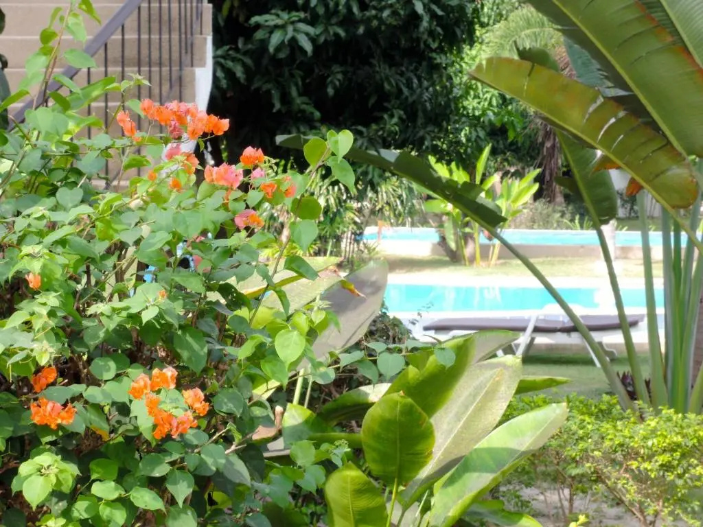 Mango Spa Country Club