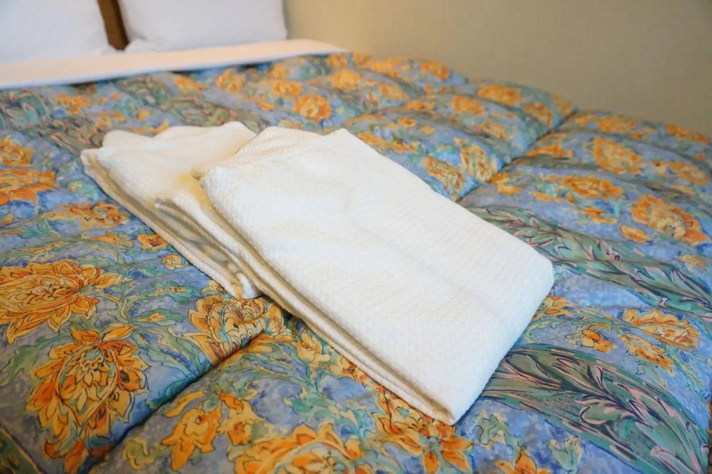 Benikea Calton Hotel Fukuoka Tenjin - Général