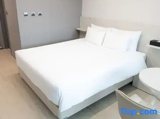 Standard Double room with mountain view (full double bed)