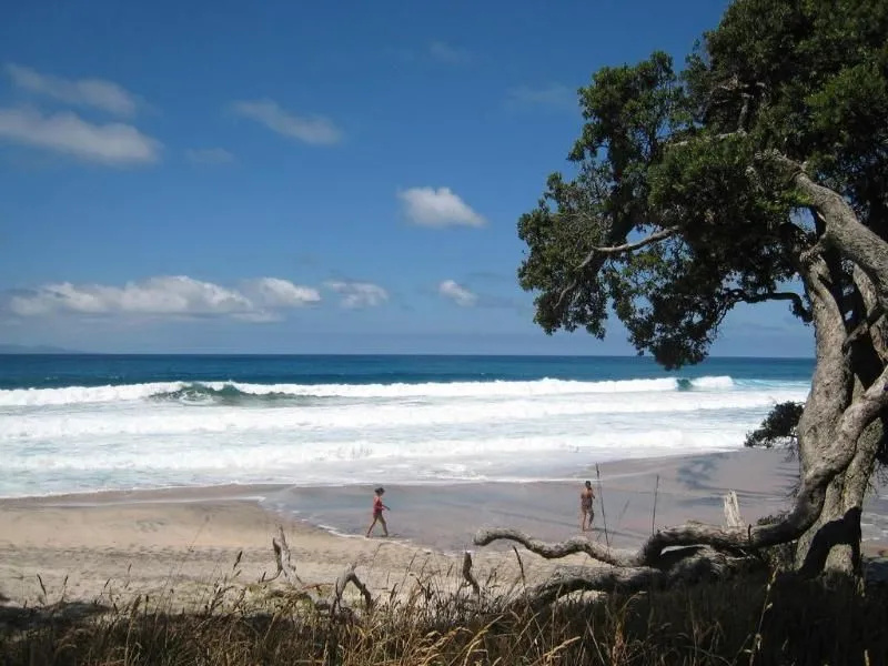 Waihi Beach Lodge - Général