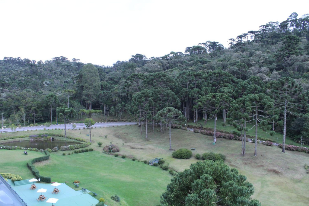 Hotel photo 32