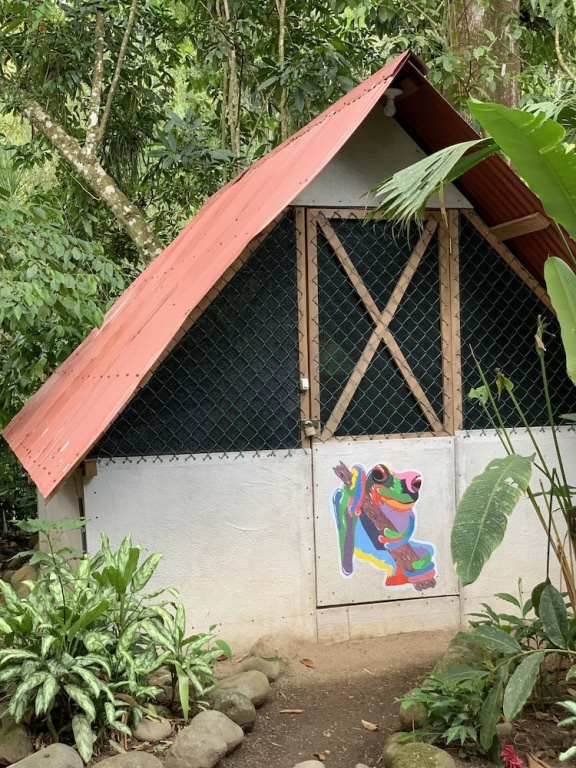 Costa Rica Glamping - фото 3