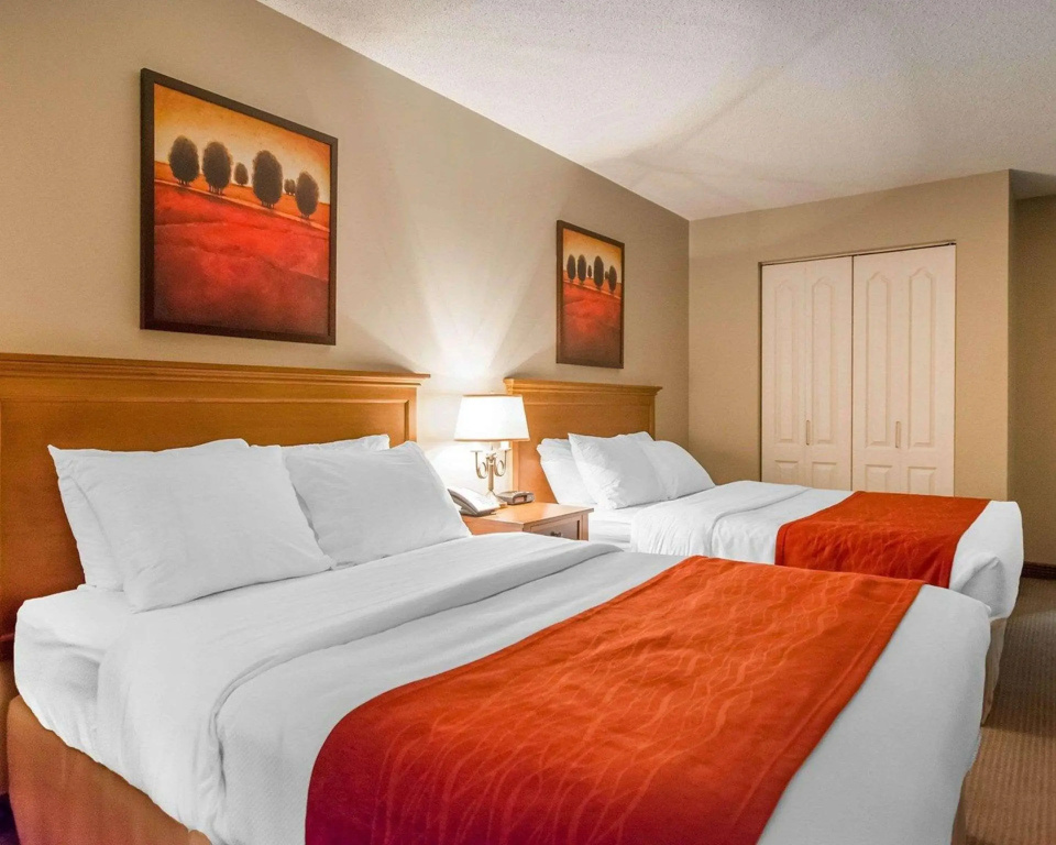 Comfort Inn Mont Laurier - Général