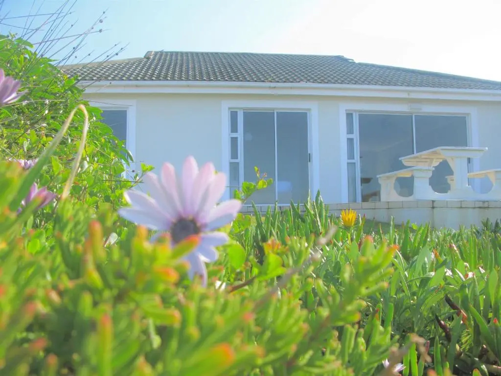Hermanus Whale View - Chambres