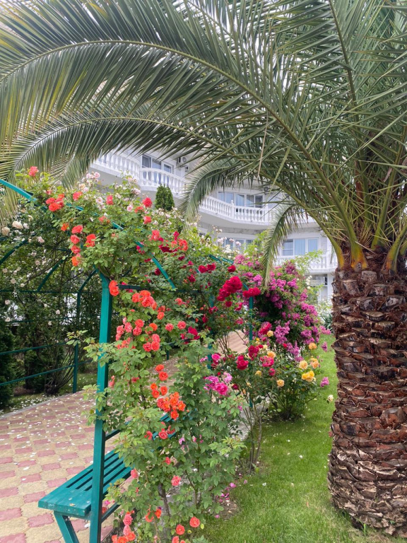 Hotel photo 32