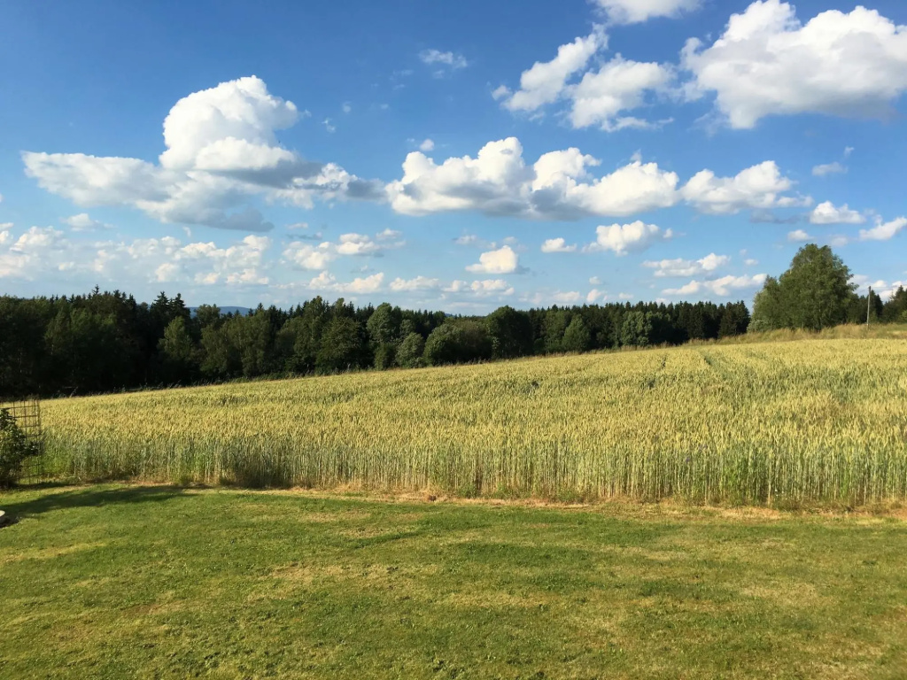 Spacious Apartment in Schonsee With Sauna