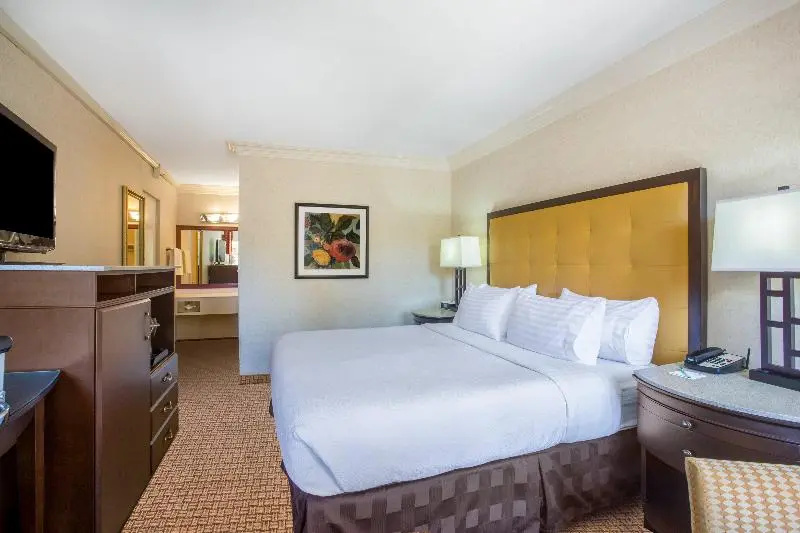 Holiday Inn Laguna Beach, an IHG Hotel - Chambres