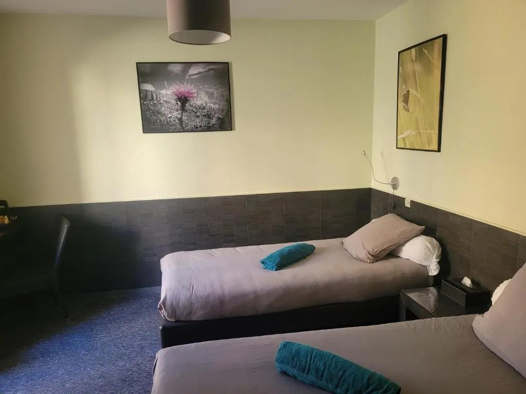 Standard Double room with balcony (twin beds)